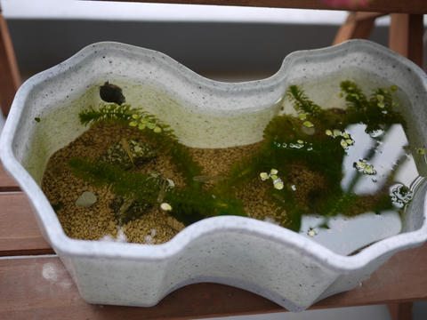 P1040510.jpg