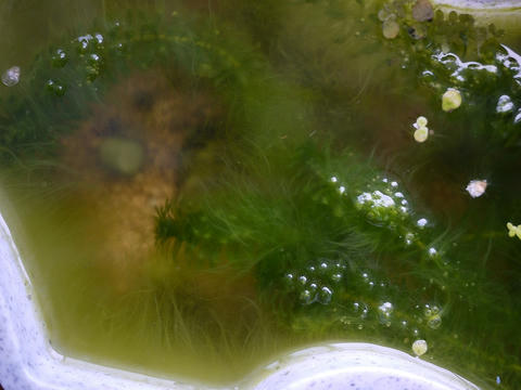 P1040800.jpg