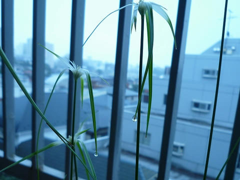 P1040023.jpg