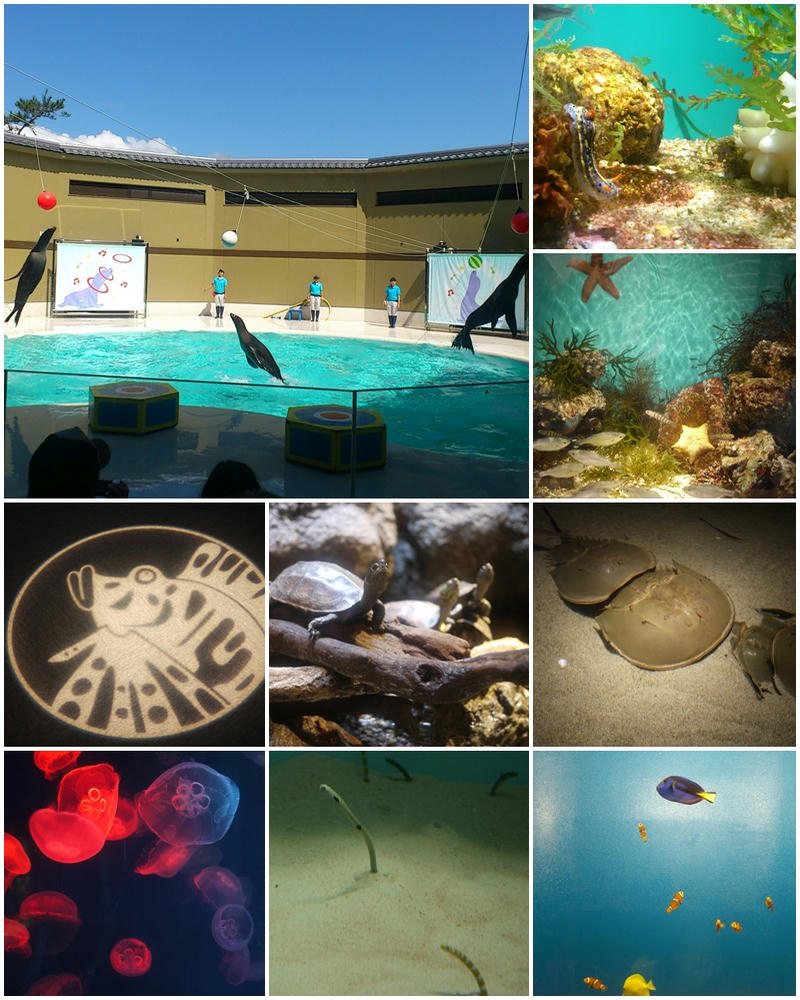 宮島水族館