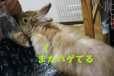 2a851692.jpg