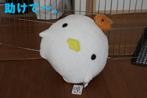 1120e8b3.jpg