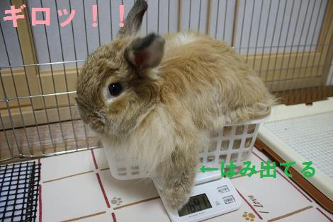 959463fb.jpg