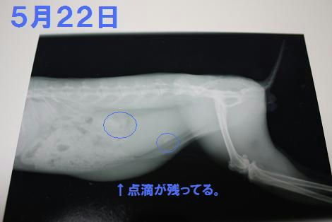 8571475e.JPG