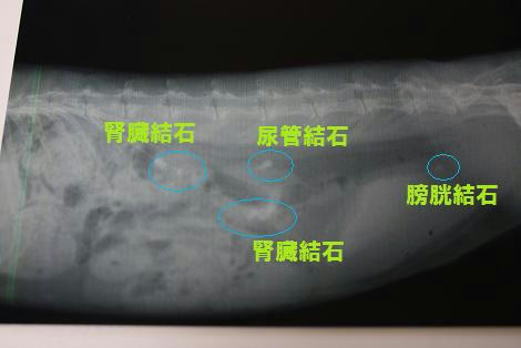 fc317803.jpg