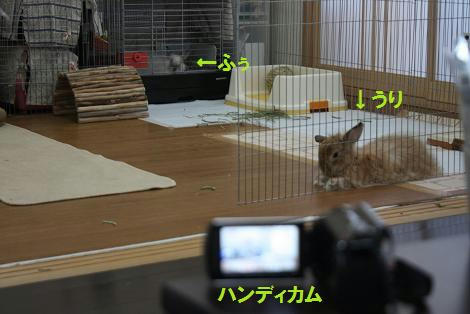 abe843e1.jpg