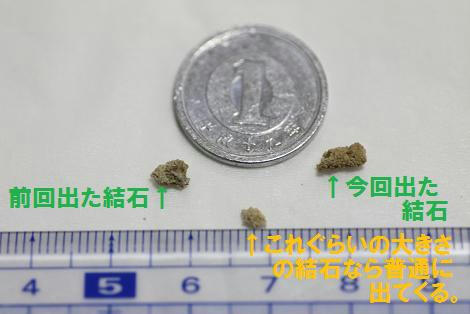 b0c515b6.jpg