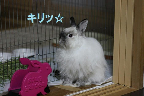 0ee40019.jpg