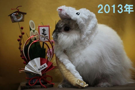 2013.jpg