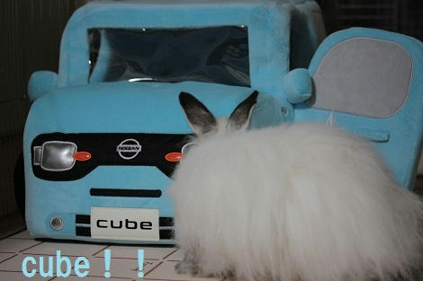 cube.jpg
