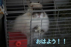 75e93264.jpeg