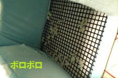 cab580c1.jpeg