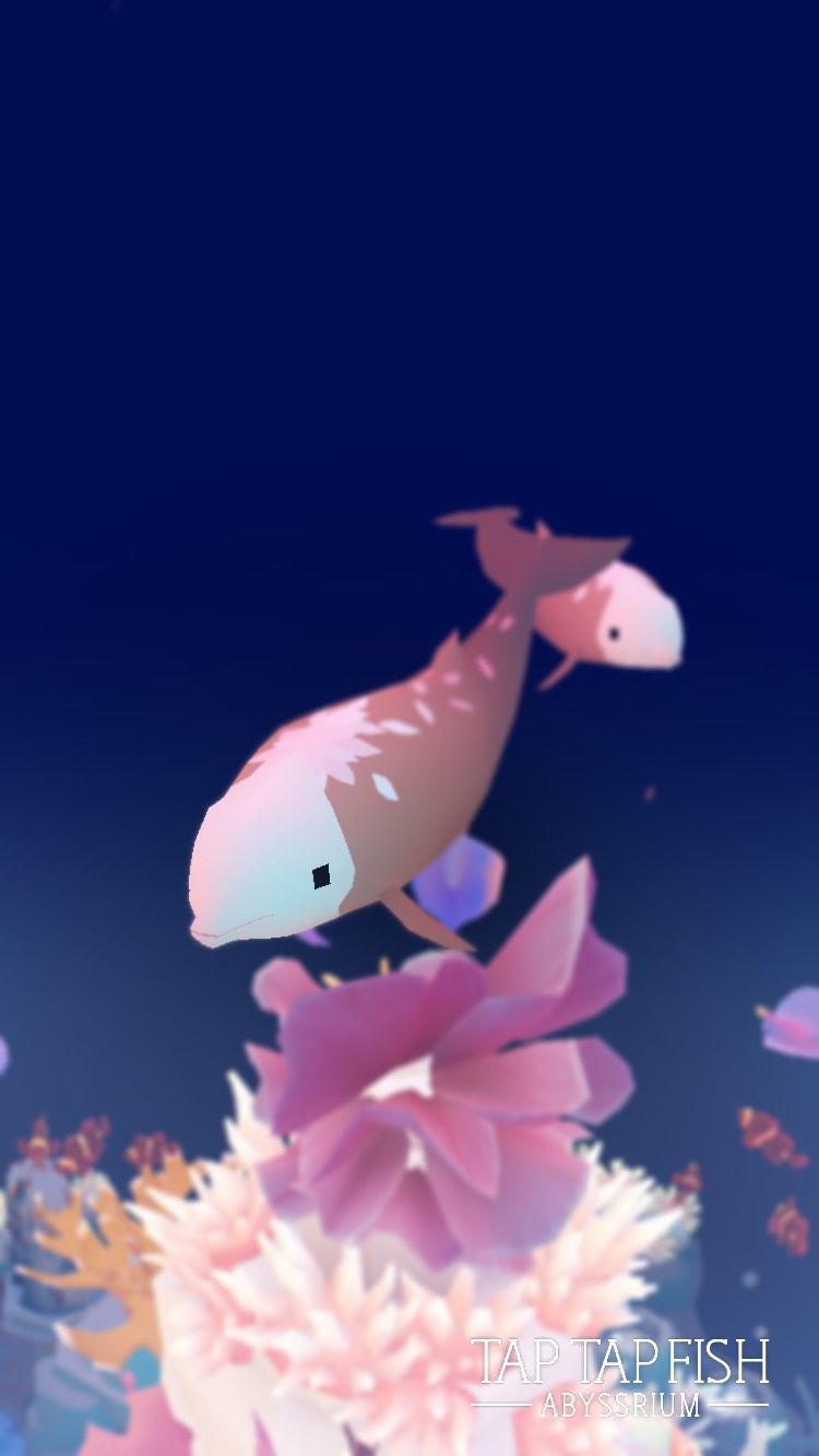 アカボウクジラ