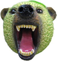 ace9d58e.png
