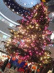20081105175203.jpg