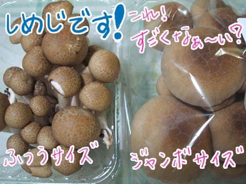 simeji