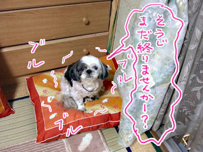 hana1