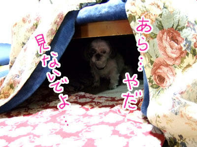 hana2