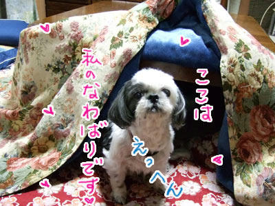 hana3
