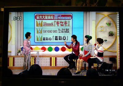 bobtv1