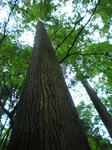 CIMG0459.JPG