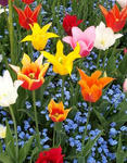 2012-05-02_10.40.40-1.jpg
