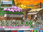 Maple0101.jpg