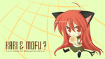 nm2993.png