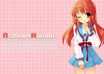 20081125mikuru03.jpg