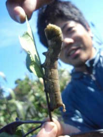 091022_imomushi.jpg