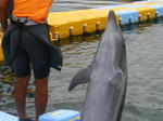 200508141304.jpg