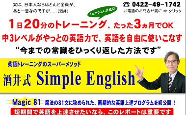 sakaisimplee.PNG