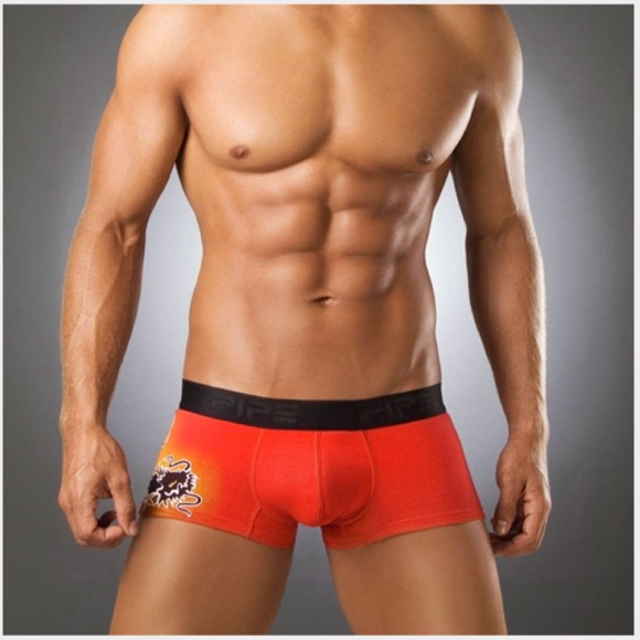 クール＆セクシーNEWブランド【国内で買えるのは当店だけ】日本未発売　【PIPE】　パイプ　ロ－ライズボクサー[DORAGON] 