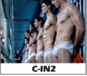 C-IN2