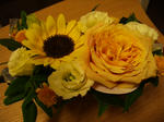 IMGP1638.JPG