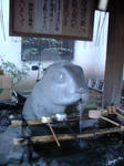 IMGP2184.JPG