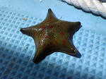 DVC00007.JPG