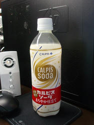 004_R.JPG