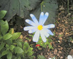 982f8333.jpg