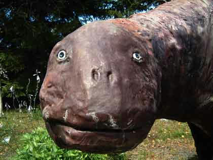 妖獣