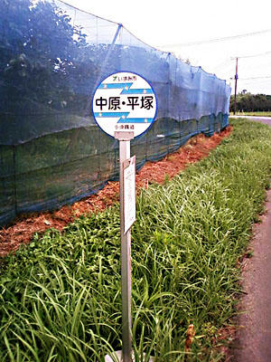 中原