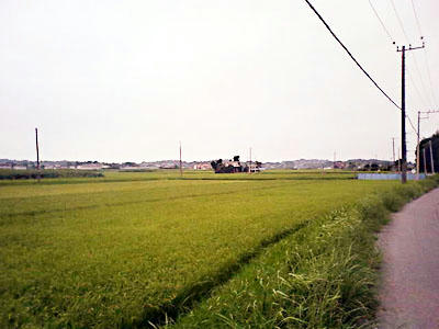 中原周囲