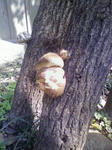 20090212124148.jpg