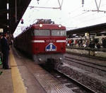 2009y03m13d_210943078.jpg
