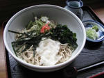 山菜おろし