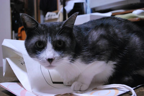 DSC_6538.jpg