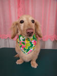 DSC05713.jpg