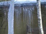 tsurara0212.JPG