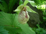 hana0522-1.jpg