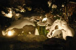furo21.01.11.jpg